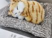 "오보기" 익산출장2룸 11번째 이미지