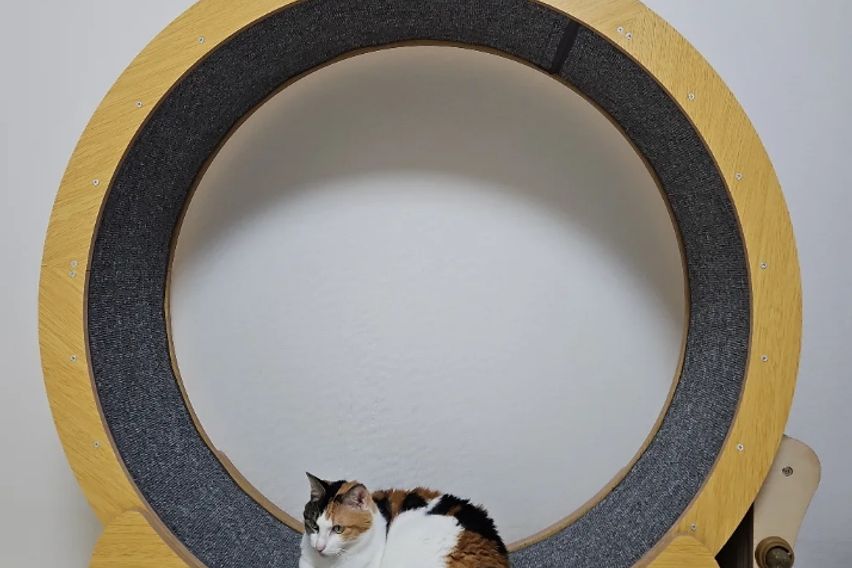 하이 3번째 이미지