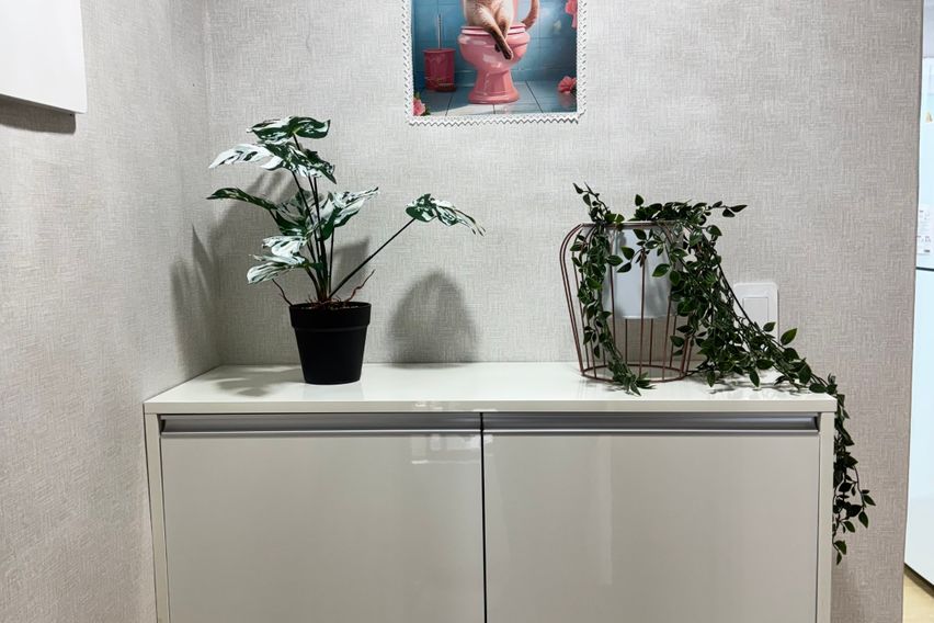 은하스테이🌵🌵 14번째 이미지