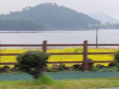 일출봉의대나무친환경 숙 13번째 이미지