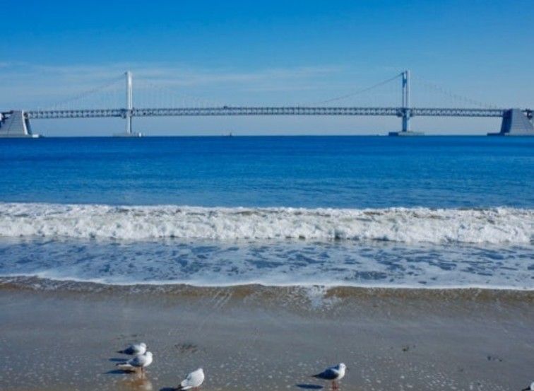 광안리도보30초오션뷰