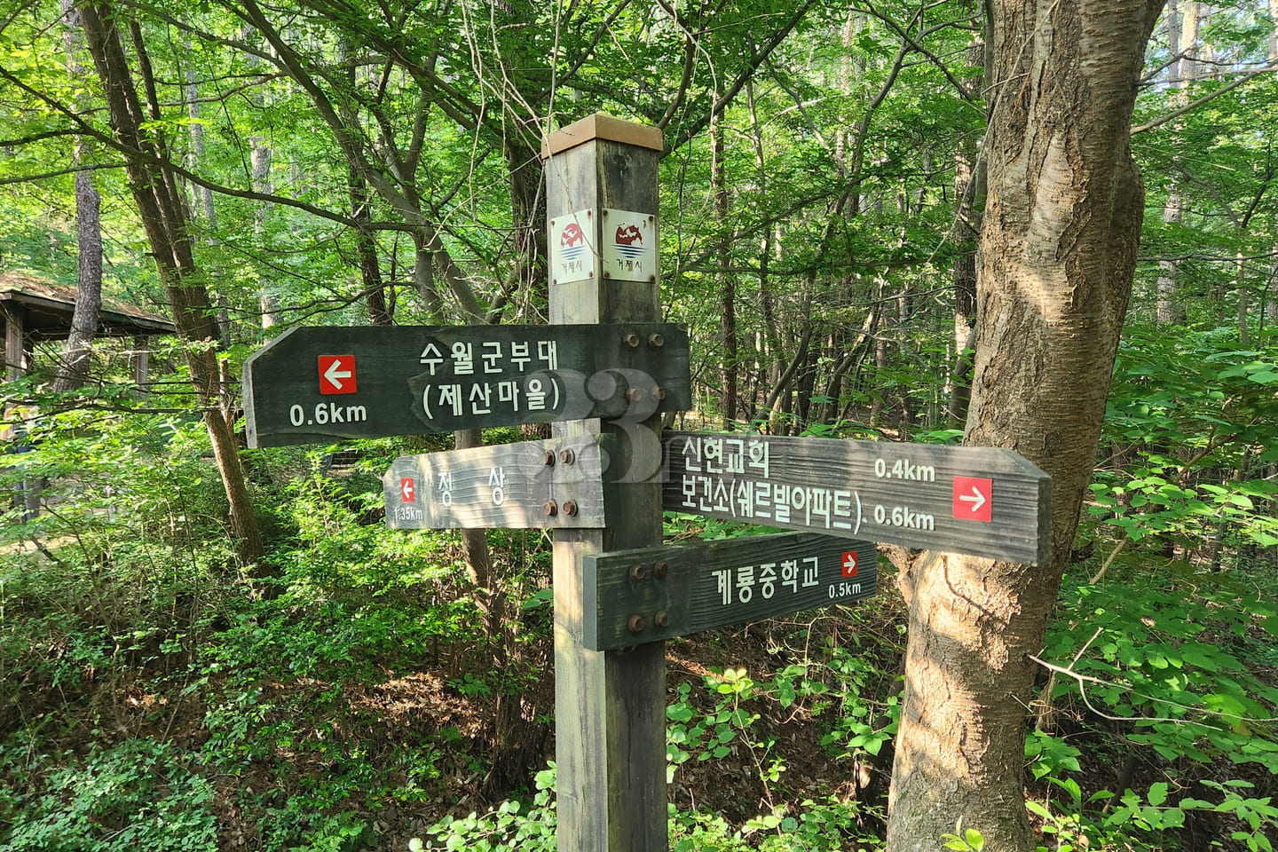 Geoje Island Short-term Rental 401 17th image