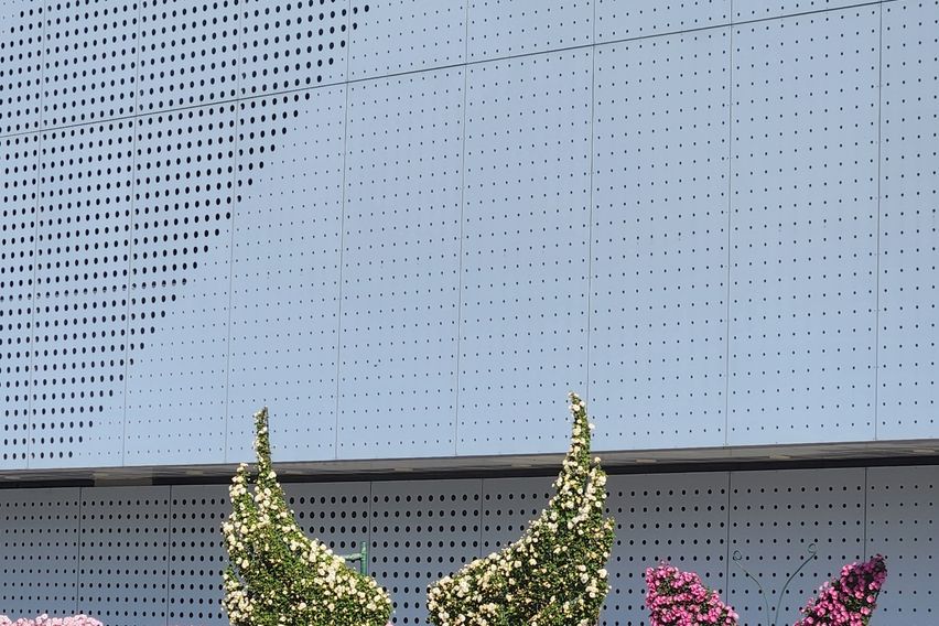 동대구역 50평 풀옵션