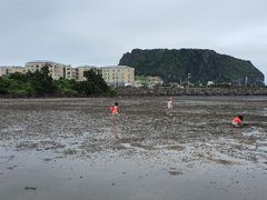 성산일출봉&오션뷰 19번째 이미지