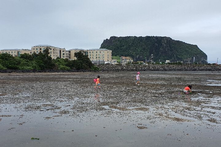 성산일출봉&오션뷰 19번째 이미지