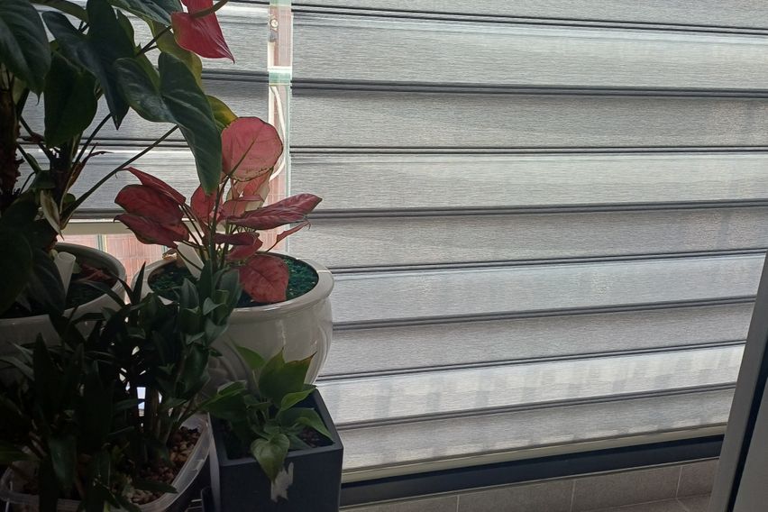 방2칸 독채 오금역3분