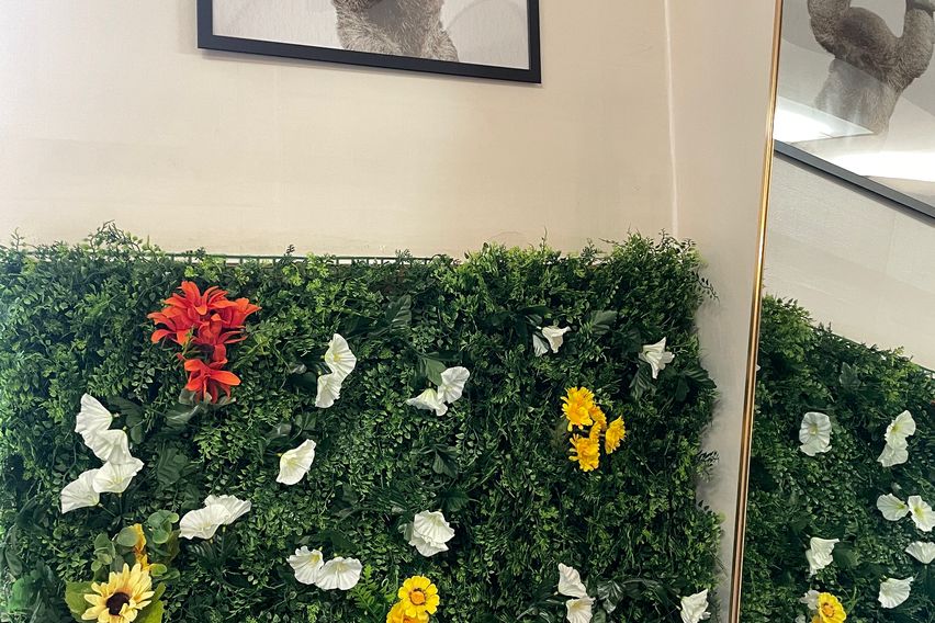 평촌 한림대 숲속의아침