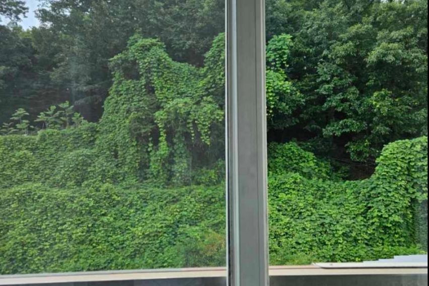 푸푸하우스   중부대점