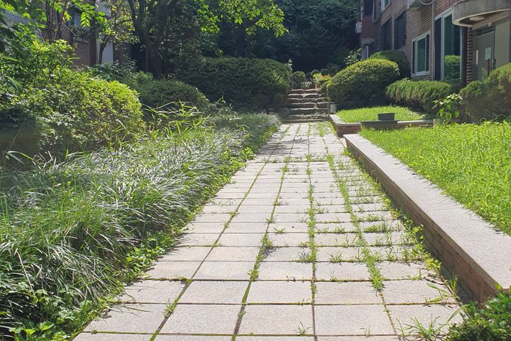 강남/서초 고급주택 11번째 이미지