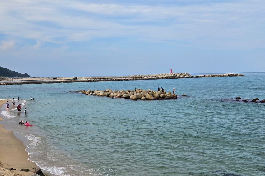 바다,해변,항공,요트