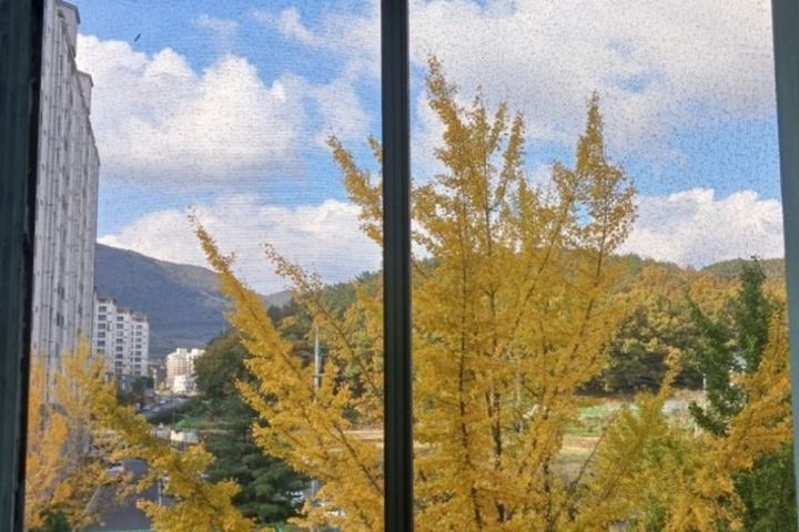 황리단길5분(오픈특가) 17번째 이미지