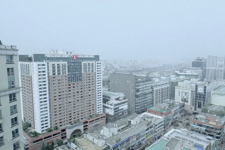 수내/판교1-4인🧘🏻 13번째 이미지
