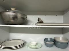 ๐ #Retro-Vibe Accommodation 10th image