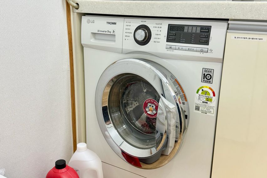 ✨킨텍스 호수공원 4명