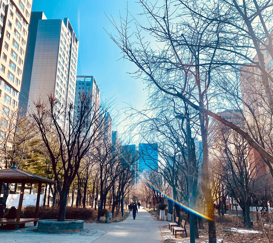 Gongdeok Station Forest View 1.5 Room 15th image