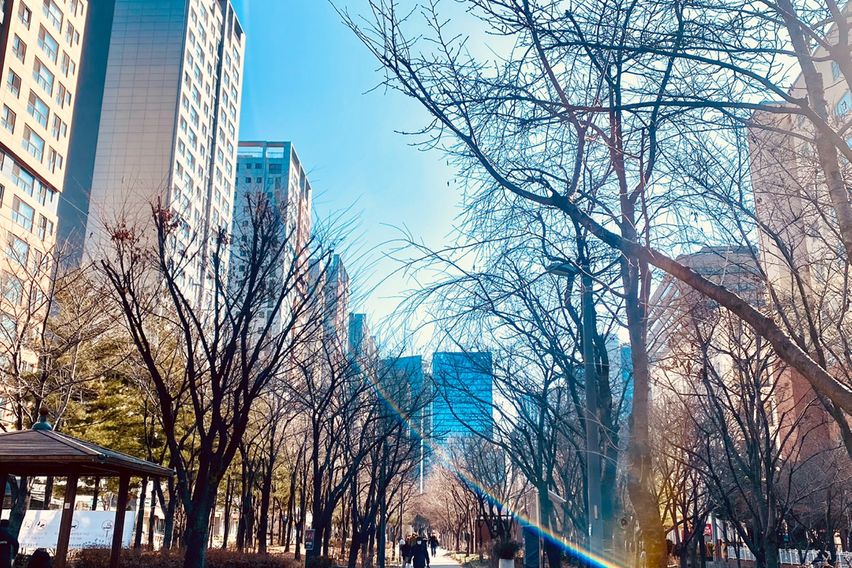 공덕역 숲길뷰 1.5룸