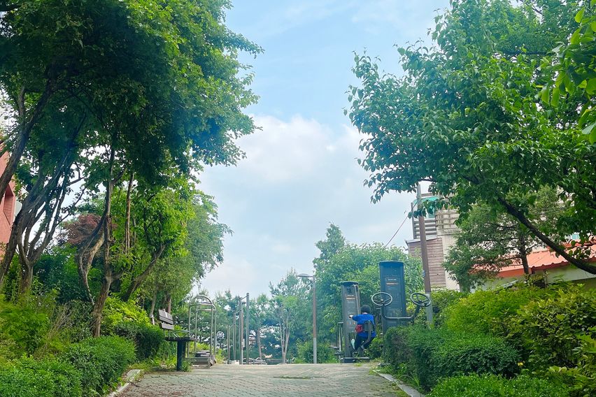 💛홍대 신촌 세브란스