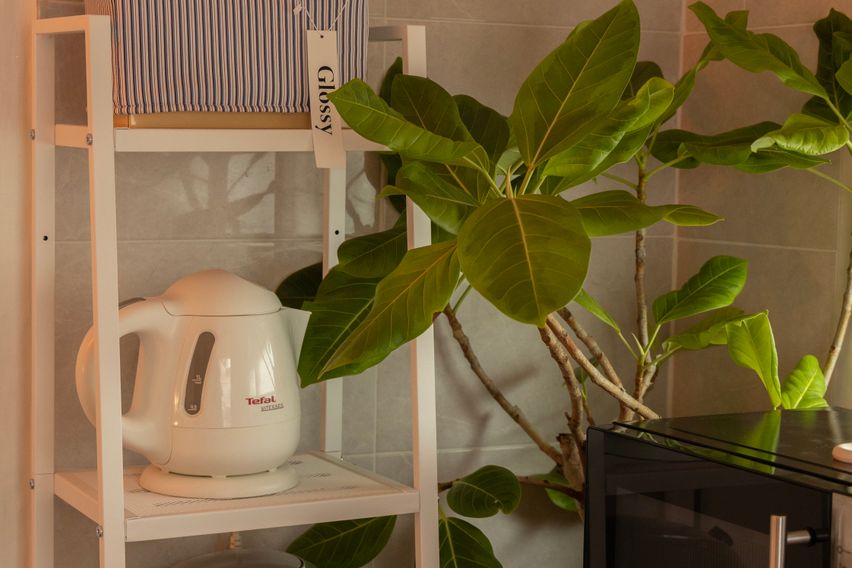 수원 행궁동 도보5분