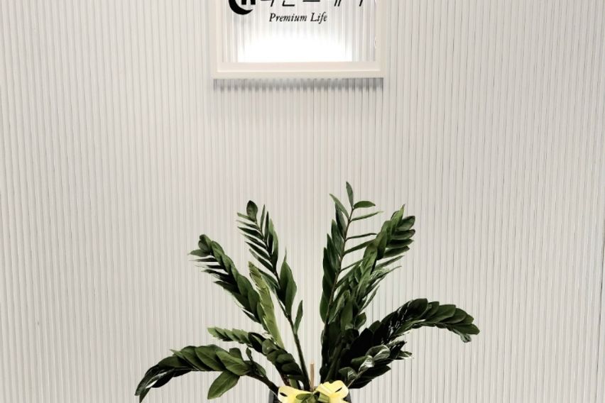 논현역6번출구 강남논현