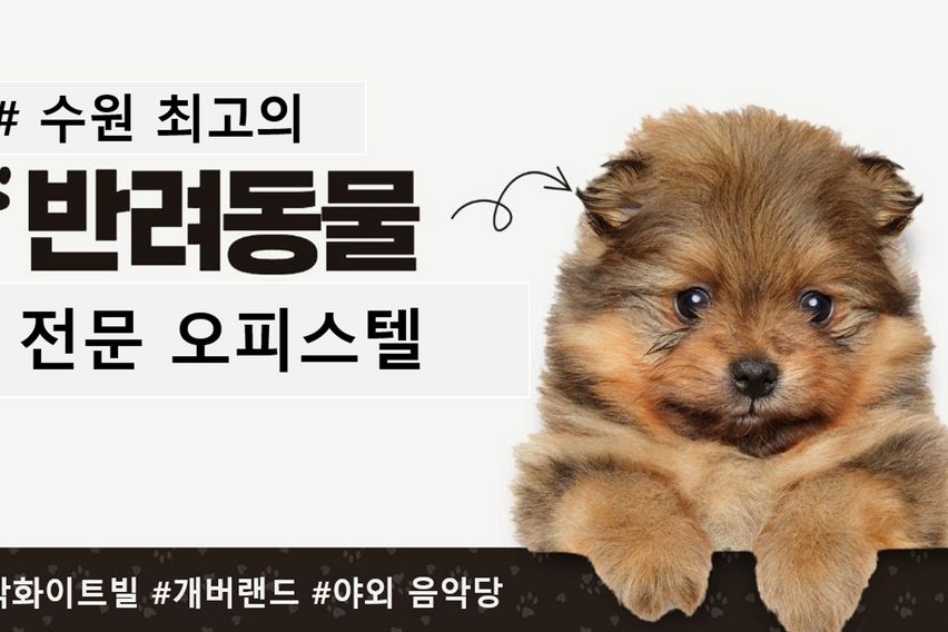 수원 최고의 위치 원룸 10번째 이미지