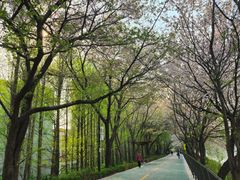 성수역 건대역 한양대역 14번째 이미지