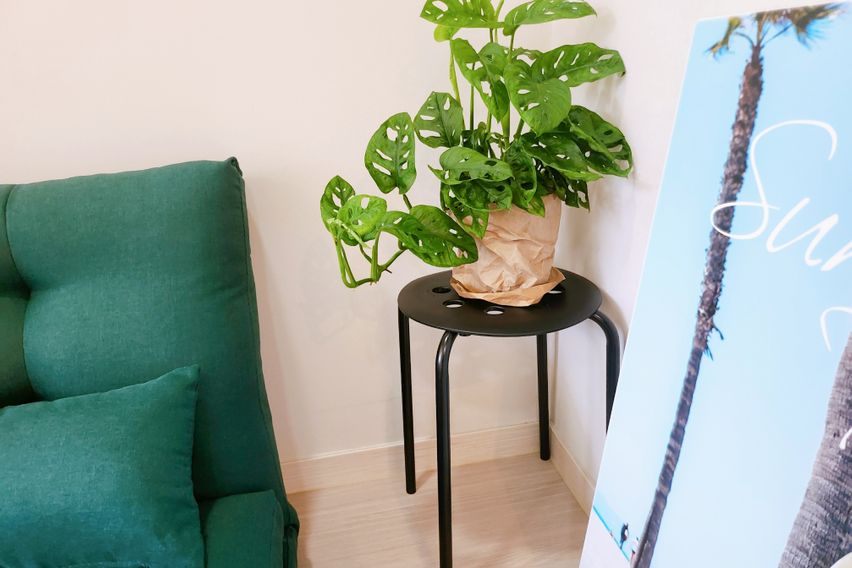 [거제]가성비갑초깨끗D