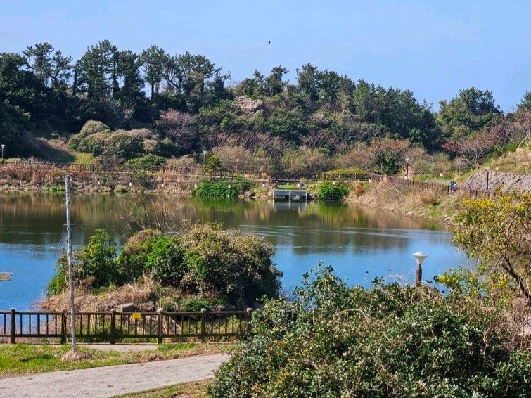 [중문]산책&조용한숙소 10번째 이미지