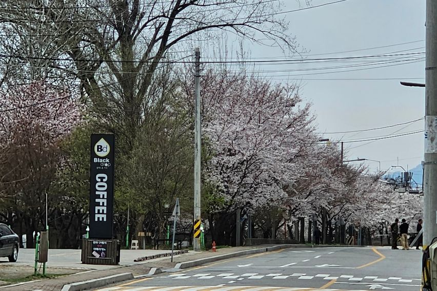 강 조망의 멋진곳 9번째 이미지