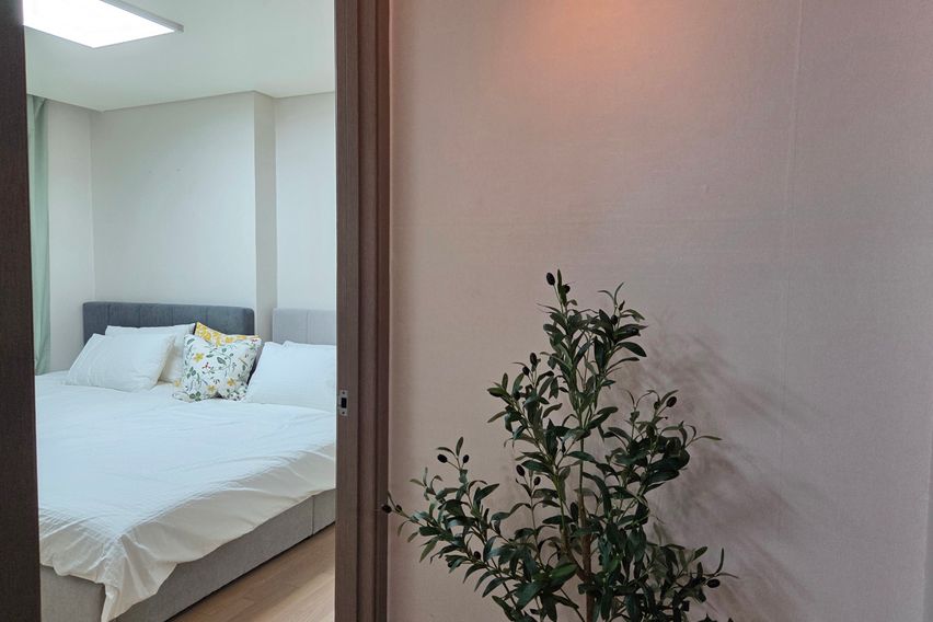 종로 올리브🌿 스테이