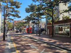 1 minute to Sungkyunkwan University / 7 minut 18th image
