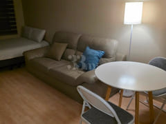 Suite 500 Arium 2th image