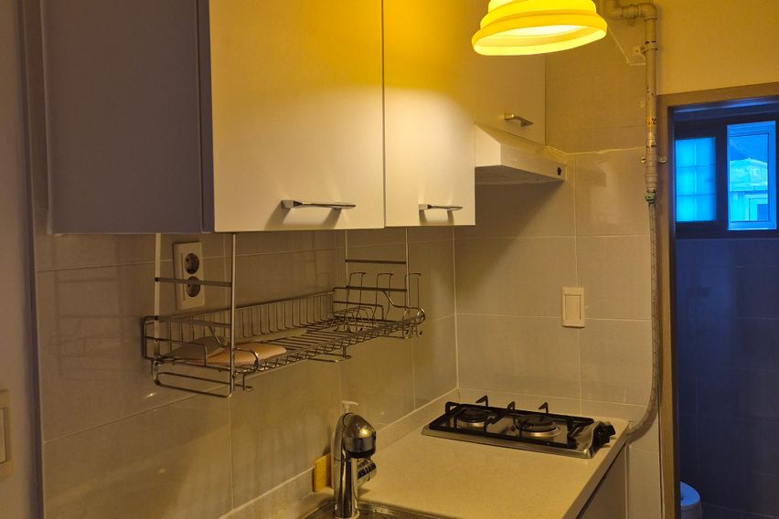 (최대3인)반려동물가능