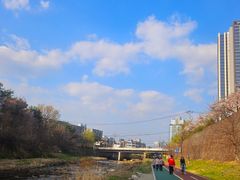 🌵수지구청🌵용인분당 18번째 이미지