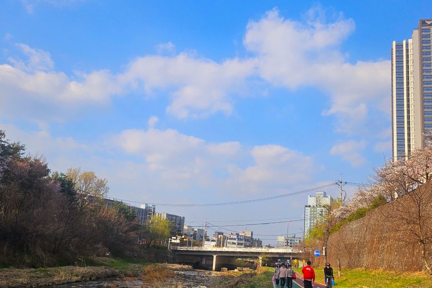 🌵수지구청🌵용인분당