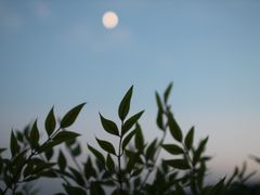 [경남 하동] 풍경채 19번째 이미지