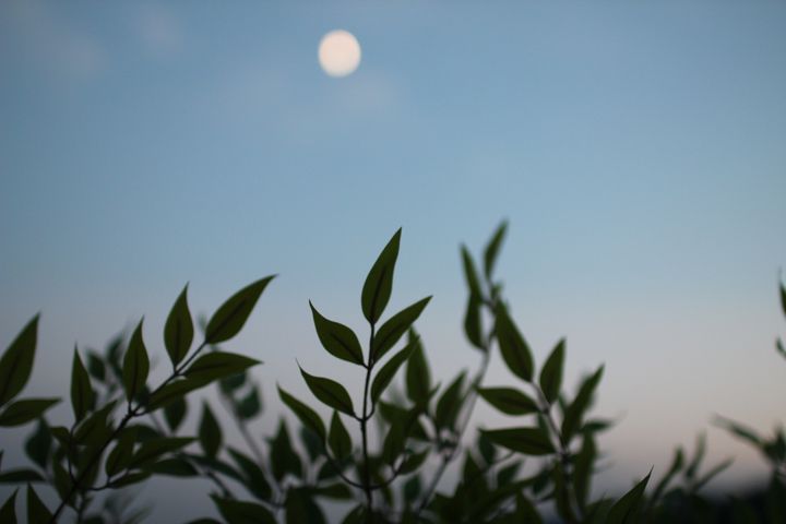 [경남 하동] 풍경채 19번째 이미지