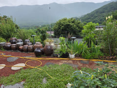 Sunny house with a good walking path. 18th image