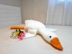 평택,안성 스타필드앞 1번째 이미지