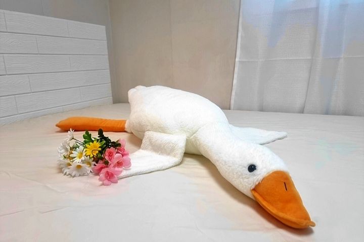 평택,안성 스타필드앞 1번째 이미지