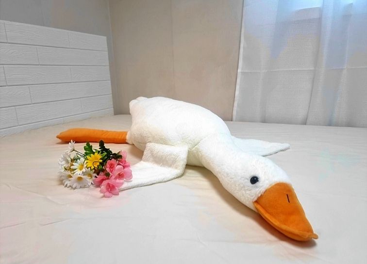 평택,안성 스타필드앞