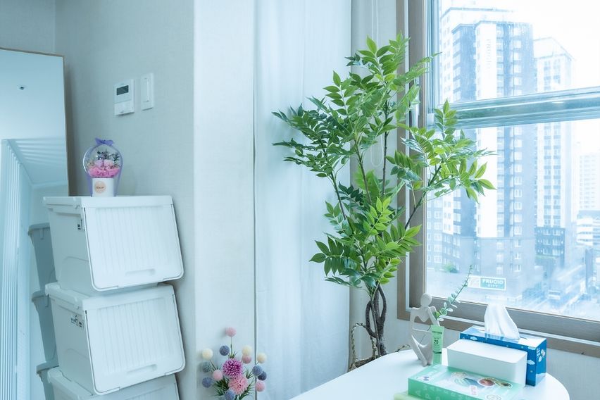 유성온천역#스테이 오늘