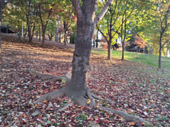 Raonjena House 16th image