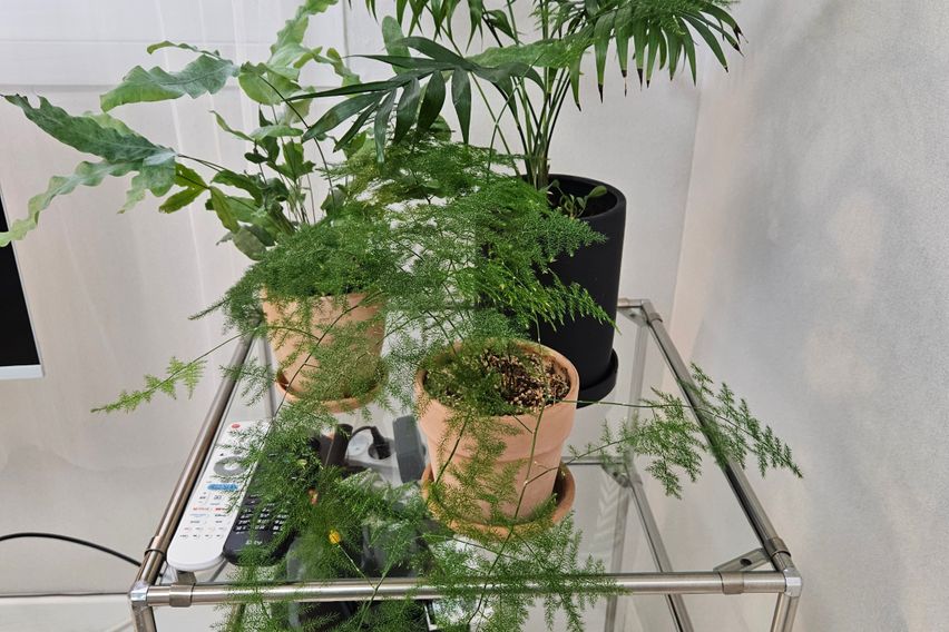 홍대신촌연남모임투룸 7번째 이미지