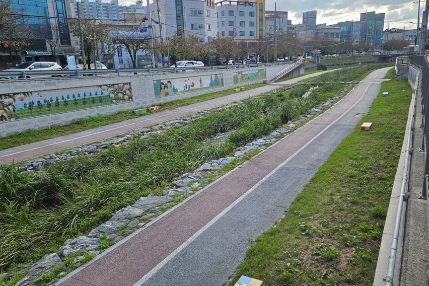 고대,홍대,번화가 4층 11번째 이미지