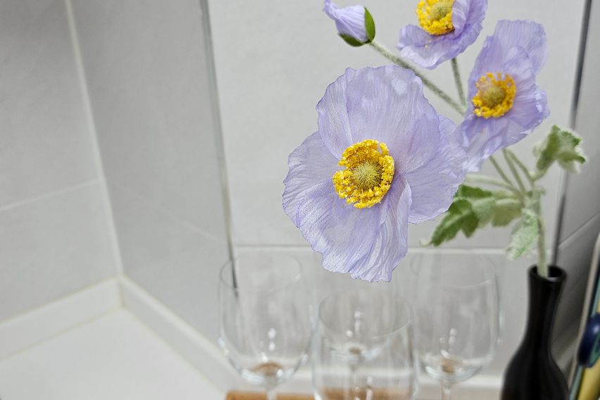 병점역신축투룸5💕특가