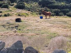●성산 바닷가숙소B 18번째 이미지