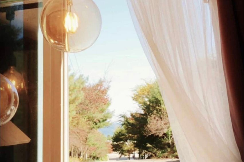 바닷가/넷플/숲세권애견