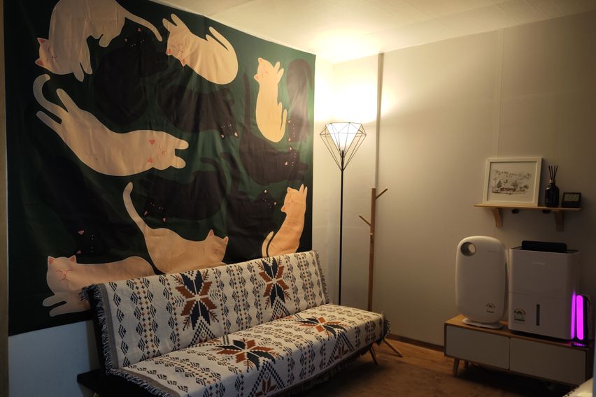 노형 반지하 가성비 방 0번째 이미지