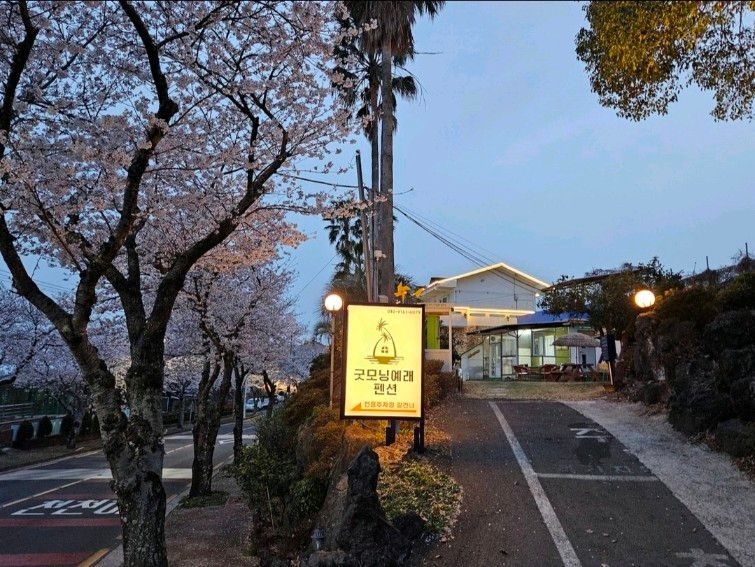 [중문]산책&조용한숙소 10번째 이미지