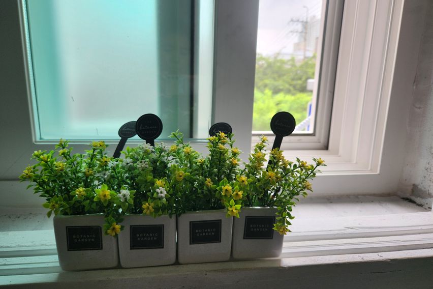 2아주대 광교호수 도보